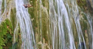 limon waterfall dominican republic