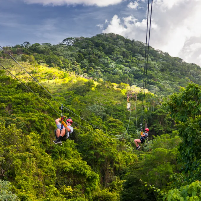 a group of people riding on top of a lush green forest