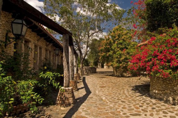 Monkey Tour Punta Cana