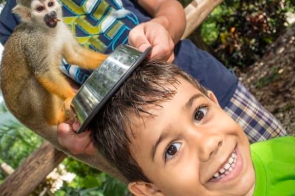 monkeyland punta cana