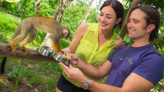 monkey land by runners adventures