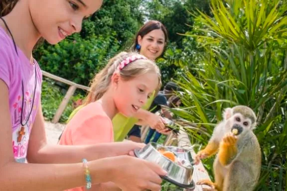 Monkeyland La Romana