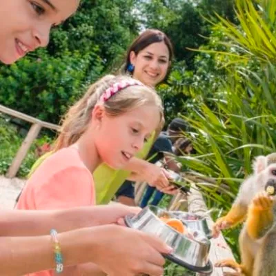 Monkeyland La Romana