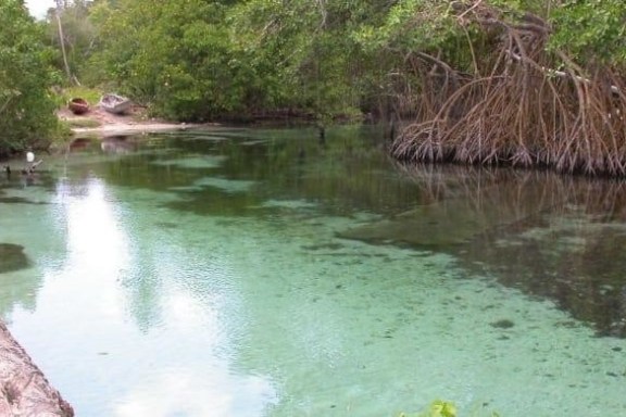 paradise island cayo arena