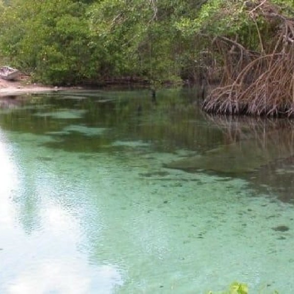 paradise island cayo arena