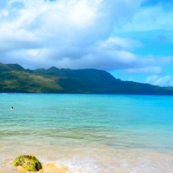 Rincon Beach & Lobster Lunch