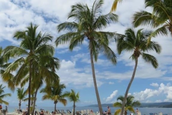 Whale Watching & Bacardi Island