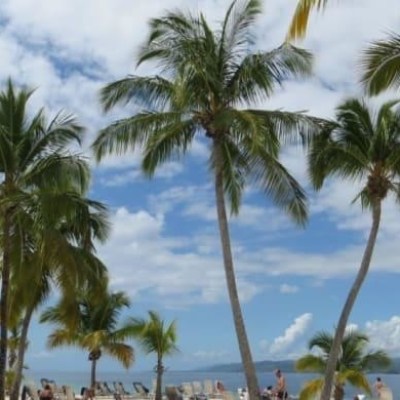 Whale Watching & Bacardi Island