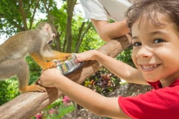 monkeyland punta cana