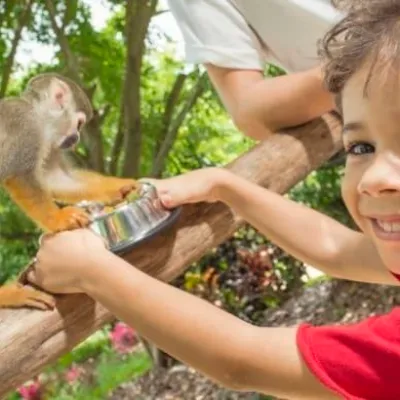 monkeyland punta cana