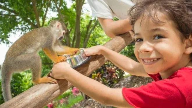 monkeyland punta cana