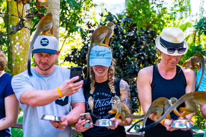 People in hats holding bowls with small monkeys on their heads and arms, surrounded by greenery.