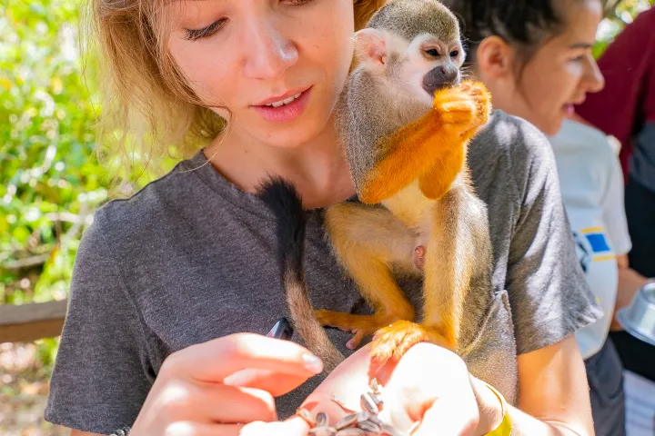 Woman holding a small monkey eating seeds from her hand.