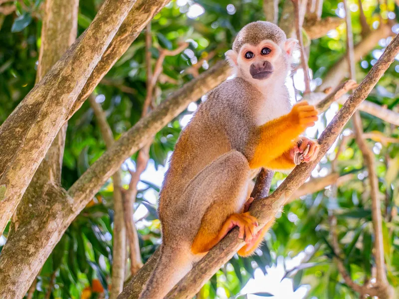 Runners Adventures Contact Us 5