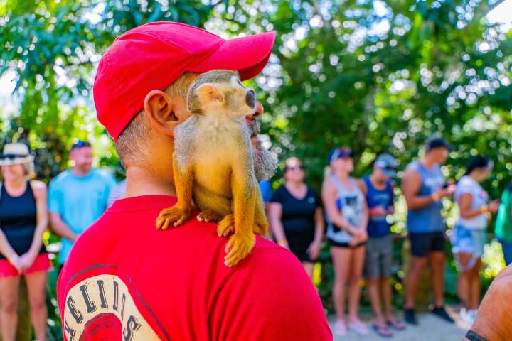 a person in a red shirt holding a stuffed animal