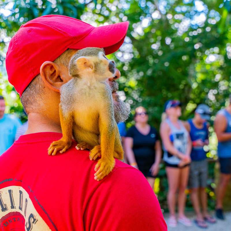 a person in a red shirt holding a stuffed animal