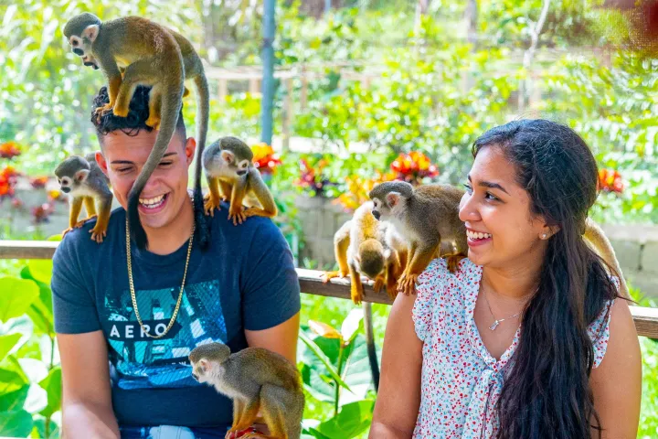 a person holding a dog
