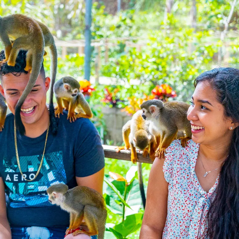 a person holding a dog