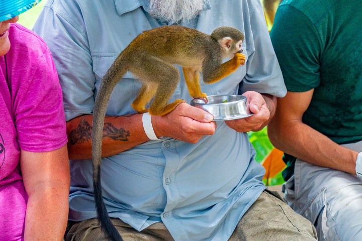 a man sitting in a chair talking on a cell phone