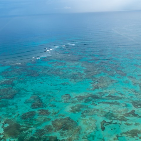 Aerial view of a vibrant turquoise coral reef in a calm ocean.