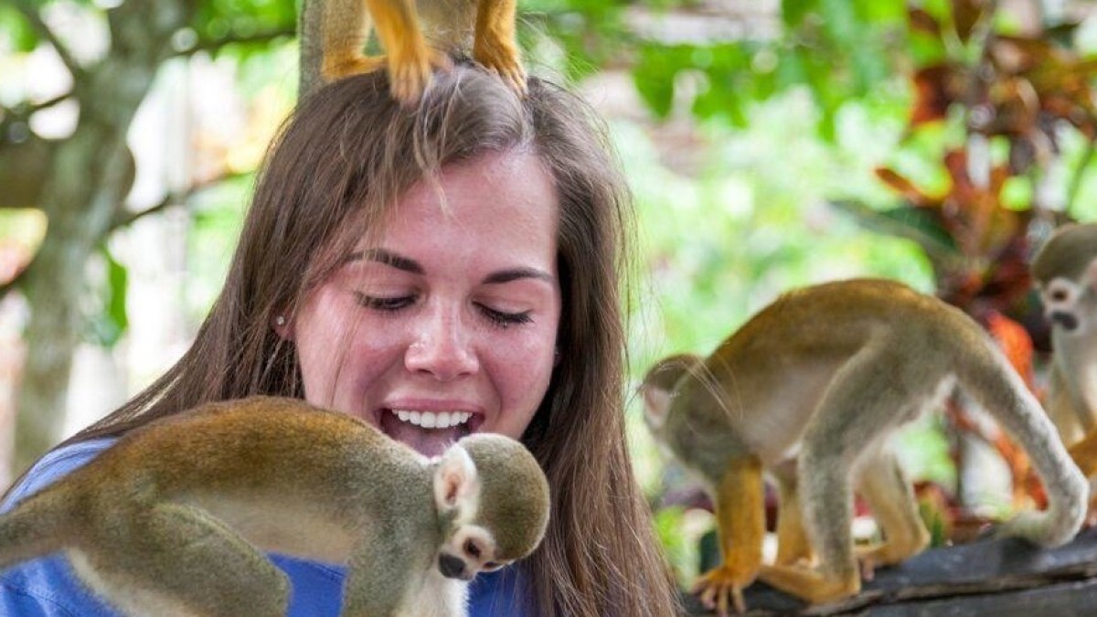 Triple Jungle Adventure Park From La Romana Image 1 Woman smiling with small monkeys on her head and shoulder in an outdoor setting.