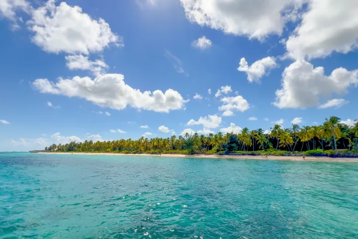 Tropical beach scene with palm trees, clear sky, and turquoise water.