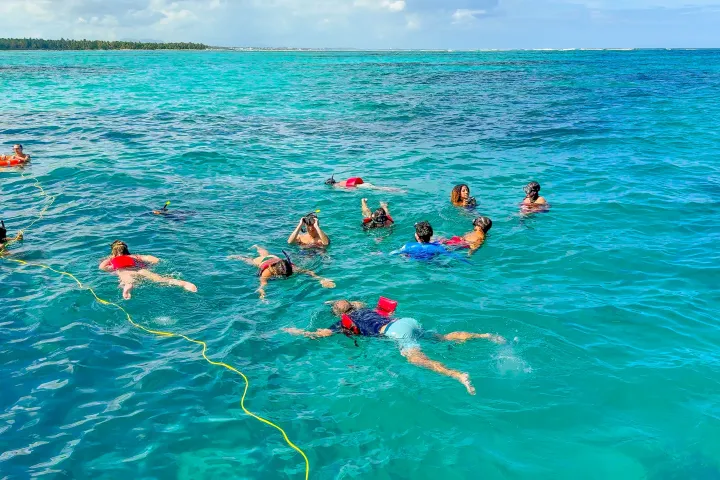 Group of people snorkeling in clear blue ocean near tropical coast.
