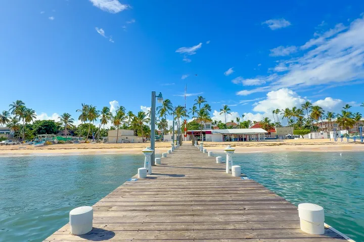 Wooden pier leading to tropical beach with palm trees and clear blue sky.