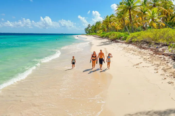 Family walking along a tropical beach with turquoise water and palm trees under a clear blue sky.