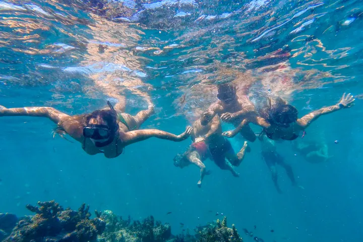 Group of people snorkeling underwater above coral reef in clear blue water.