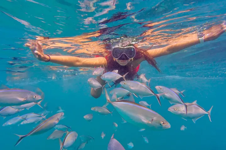 Person snorkeling underwater with a school of fish, wearing a mask and snorkel in clear blue water.