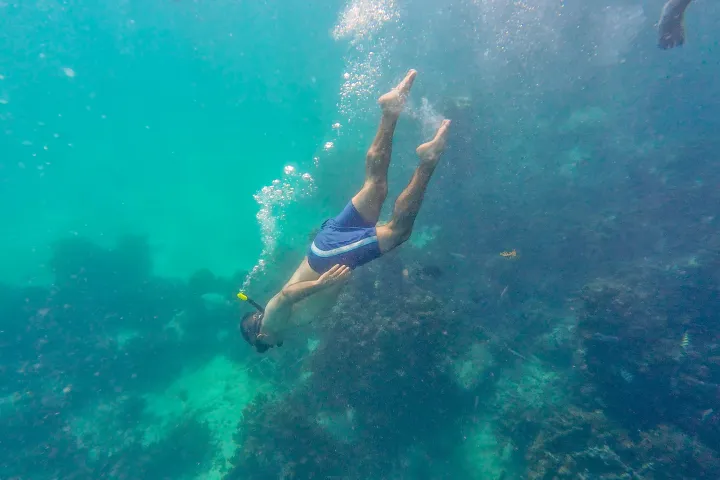 Person snorkeling underwater above coral reef, wearing blue swim shorts.